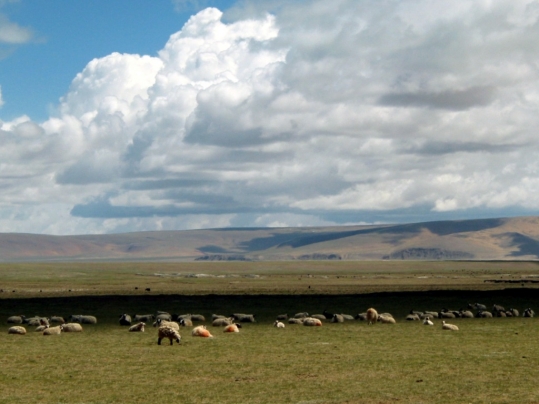 Qinghai-Tibet Railway