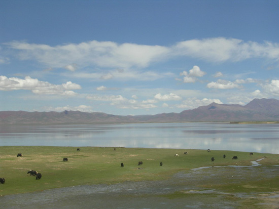 Qinghai-Tibet Railway