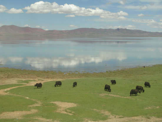 Qinghai-Tibet Railway