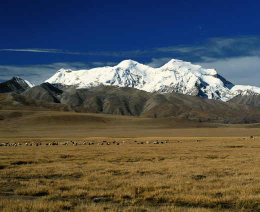 Qinghai-Tibet Railway