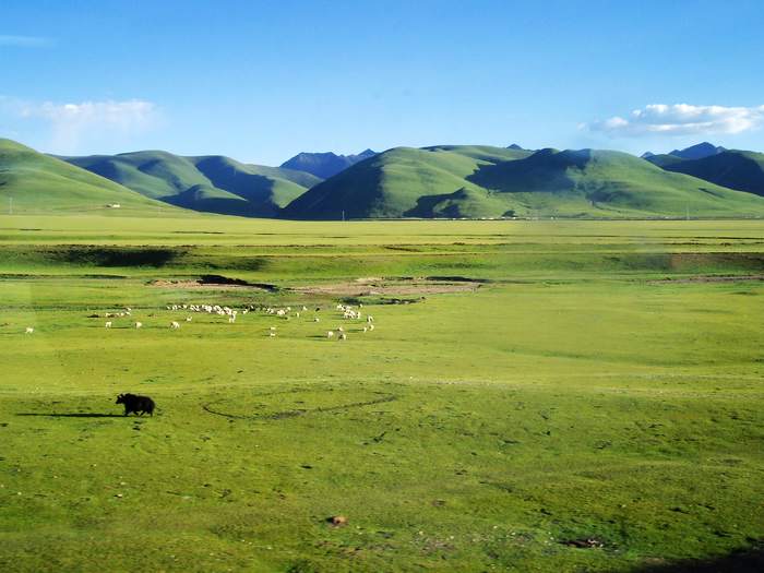 Qinghai-Tibet Railway