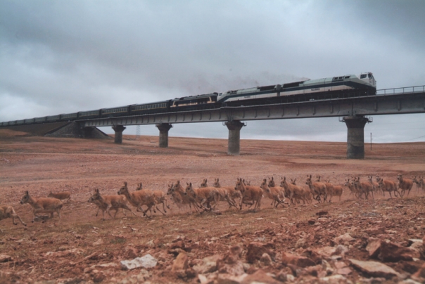 Tibet train, China tibet railway, Tibet Train Travel